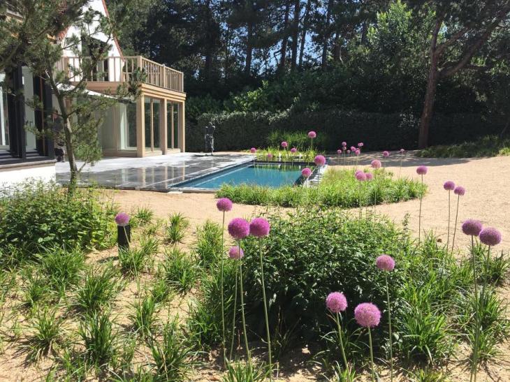 Zonnepanelen koppelen aan je zwembad: duurzaam en kostenefficiënt zwemmen