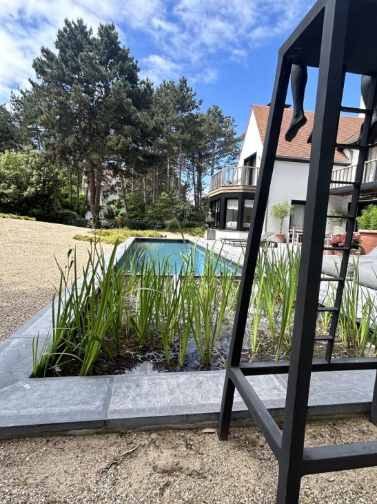 Verouderde zwemvijver moderniseren: het kan!